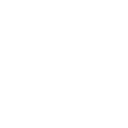 phoneIcon